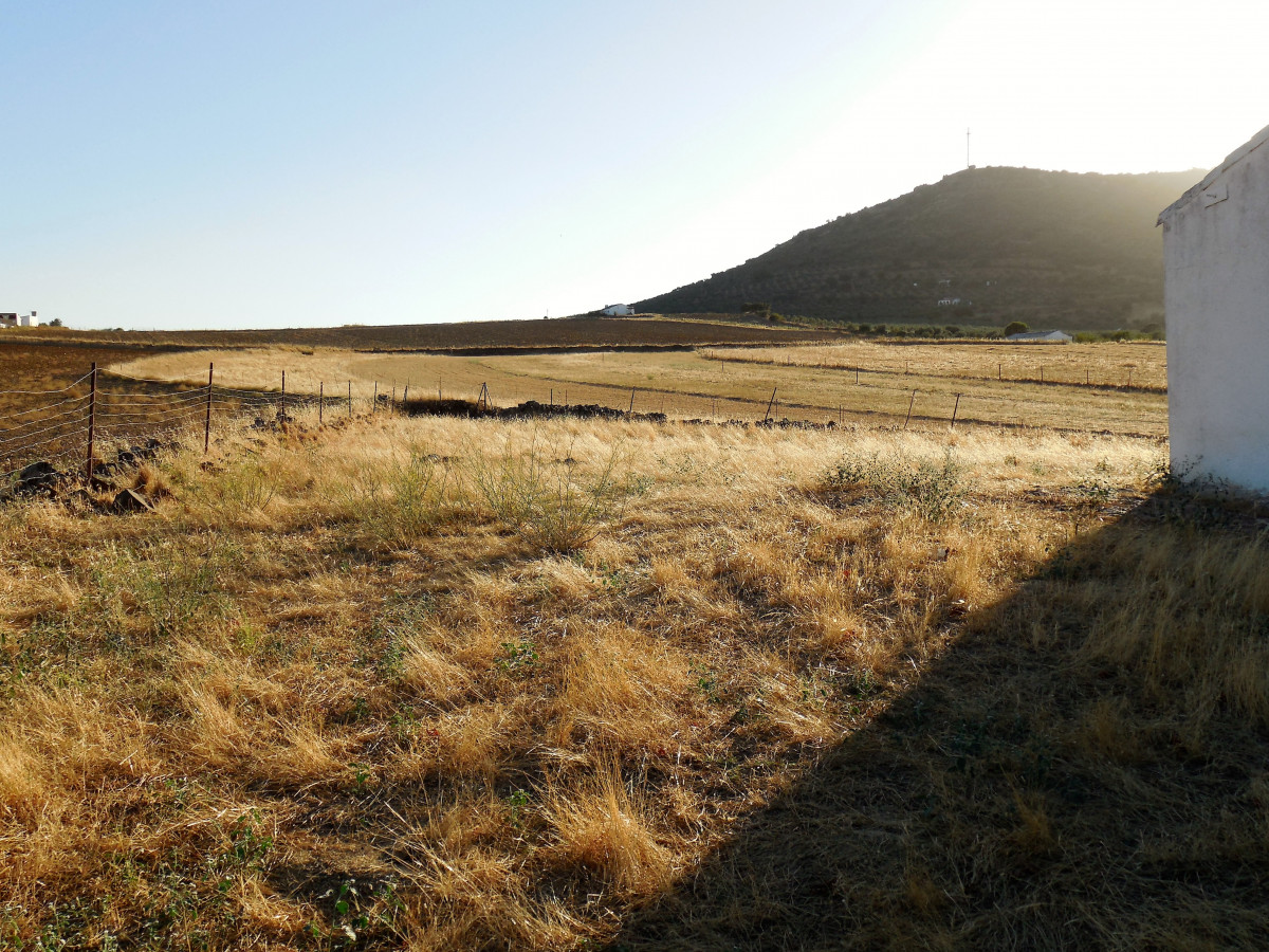 Cabeza Del Buey ExtremaCasa