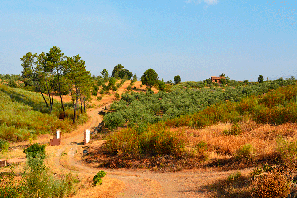 Perales del Puerto ExtremaCasa